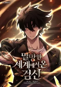 The Sword king from a Ruined World The Sword king from a Ruined World